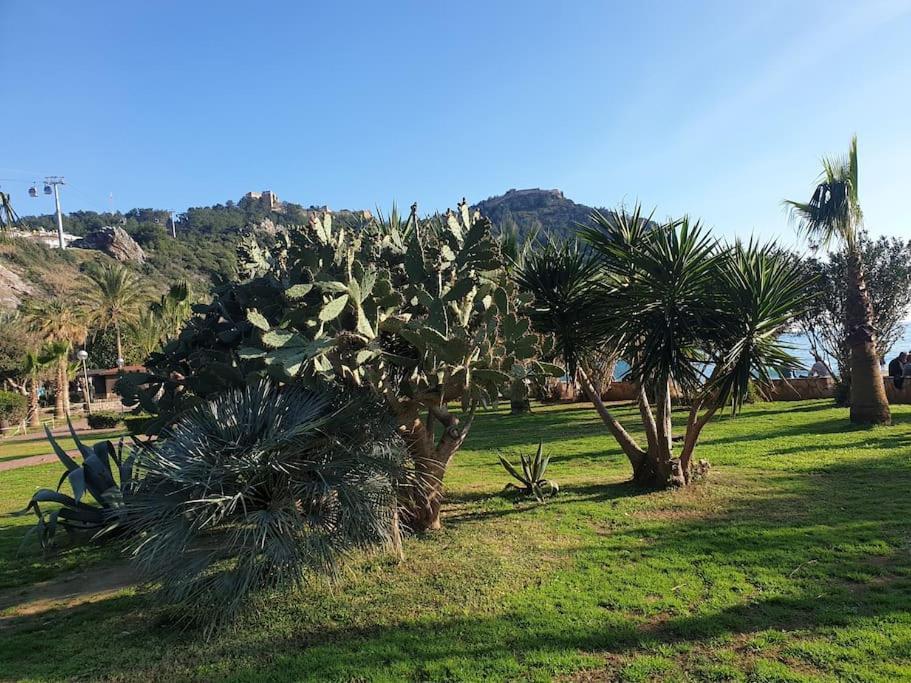 Apartament Sunstar Kleopatra Alanya